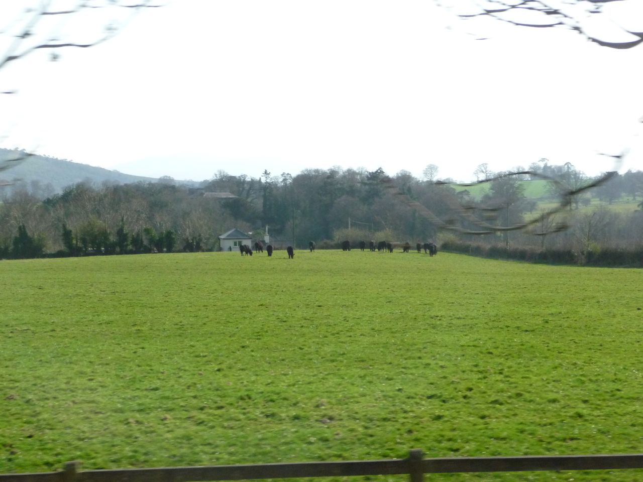 April 10th 11th (10)